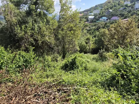 Участок в Краснодарский край, Сочи ул. Земляничная (6.0 сот.)