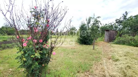 Участок в Краснодарский край, Динской район, Пластуновское с/пос, ...