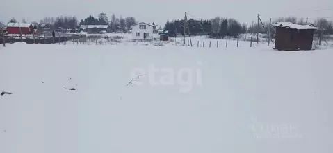 Участок в Вологодская область, Шекснинский муниципальный округ, д. ...