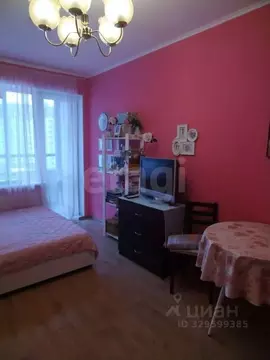 Студия Санкт-Петербург просп. Ветеранов, 169к3 (24.0 м)