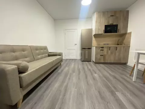 Студия Санкт-Петербург Дальневосточный просп., 23 (25.0 м)