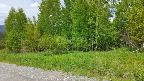 Участок в Алтай, Майминский район, Манжерокское с/пос, с. Озерное ул. ...