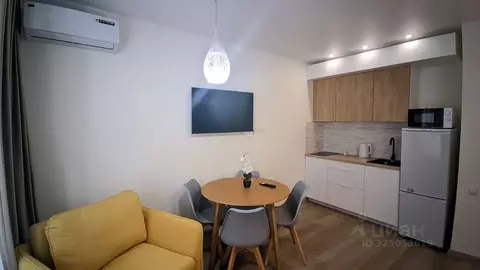 Студия Краснодарский край, Сочи ул. Искры, 66/9к1 (31.0 м)