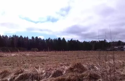 Участок в Калужская область, Дзержинский район, д. Рудня  (65.0 сот.)