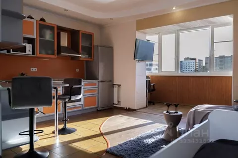 Студия Амурская область, Благовещенский район, с. Чигири ул. ...