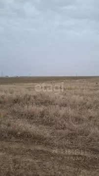 Участок в Крым, Сакский район, Молочненское с/пос, с. Витино ул. ...