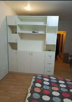 Студия Псковская область, Псковский район, Писковичская волость, д. ...