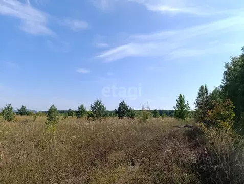 Участок в Воронежская область, с. Новая Усмань ул. Фрунзе, 29 (100.0 ...