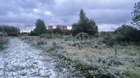 Участок в Ярославская область, Ярославль Текстильщик-2 садовое ...