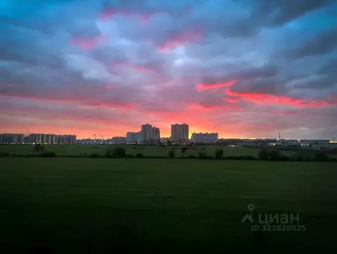 Студия Ленинградская область, Мурино Всеволожский район, бул. ...