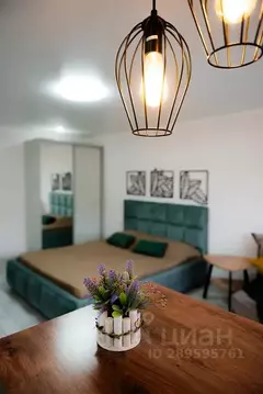 Студия Адыгея, Майкоп Пролетарская ул., 227 (32.0 м)