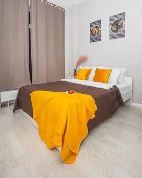 Студия Санкт-Петербург Пулковское ш., 14с6 (24.0 м)