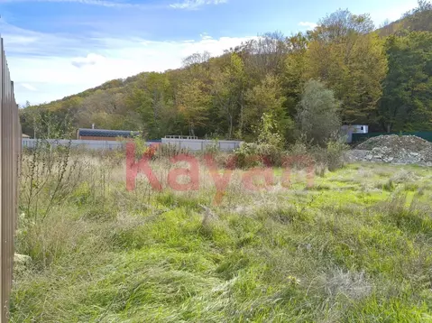 Участок в Краснодарский край, Геленджик городской округ, с. Адербиевка ...