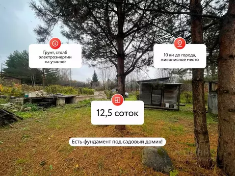 Участок в Костромская область, Костромской район, Самсоновское с/пос, ...
