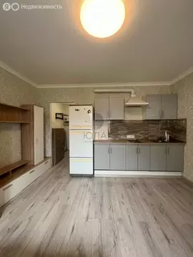 Квартира-студия: Санкт-Петербург, проспект Королёва, 62 (24.1 м)