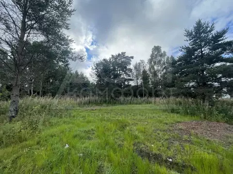 Участок в Ленинградская область, Приозерский район, Ларионовское ...