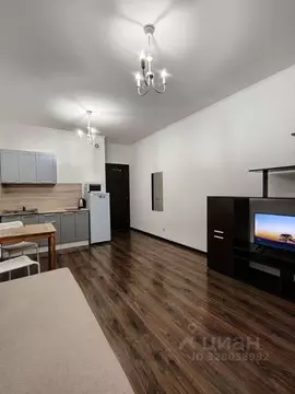 Студия Санкт-Петербург ул. Плесецкая, 16 (26.0 м)