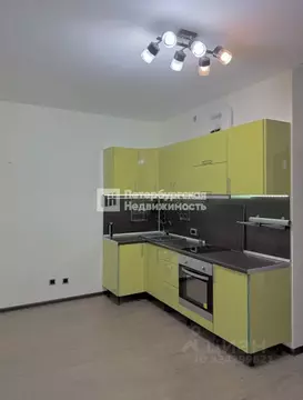 Студия Санкт-Петербург аллея Арцеуловская, 23к1 (24.0 м)