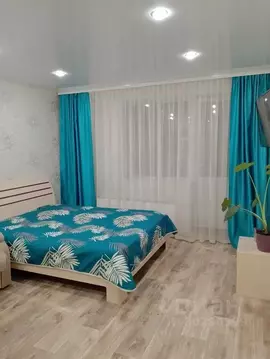 Студия Новосибирская область, Искитим Южный мкр, 57 (26.0 м)