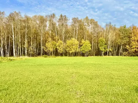 Участок в Московская область, Домодедово городской округ, с. Красный ...