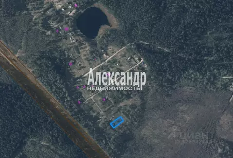 Участок в Ленинградская область, Приозерский район, Кузнечнинское ...