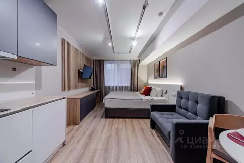 Студия Санкт-Петербург Заозерная ул., 3к3с2 (26.2 м)