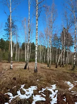 Участок в Иркутская область, Иркутский муниципальный округ, Славное ...
