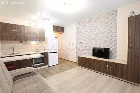 Квартира-студия: Новосибирск, улица Одоевского, 1/10 (23.7 м)