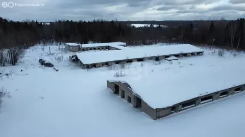 Производственное помещение (5711.9 м)