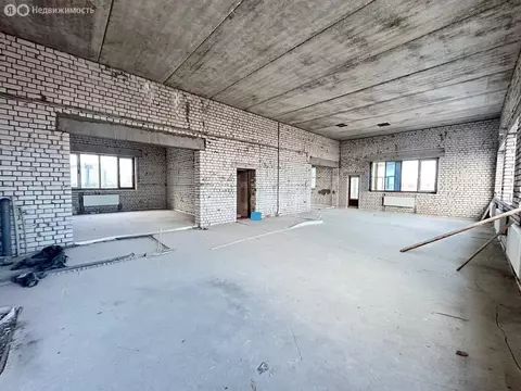 4-комнатная квартира: Воронеж, улица Белинского, 21 (237.9 м)