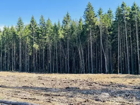Участок в Ленинградская область, Всеволожский район, Сертоловское ...