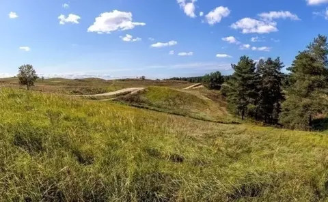 Участок в Ленинградская область, Всеволожский район, Колтушское ...