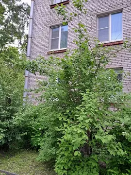 Комната Санкт-Петербург, Санкт-Петербург, Сестрорецк Приморское ш., ...