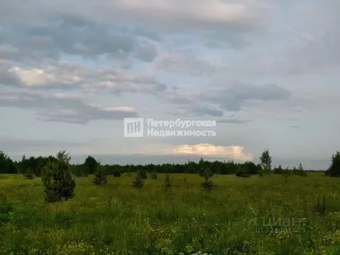 Участок в Ленинградская область, Кировский район, Мгинское городское ...