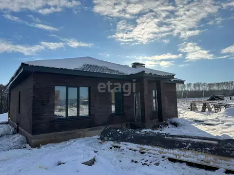 Дом в Башкортостан, Бижбулякский район, с. Демский  (159 м)