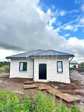 Дом в Пермский край, д. Ванюки  (95 м)