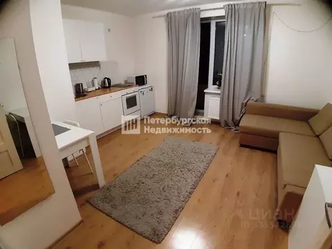 Студия Санкт-Петербург ул. Русановская, 18к3 (24.2 м)