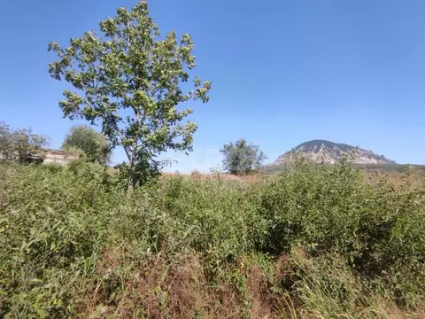 Склад в Ставропольский край, Минераловодский муниципальный округ, пос. ...