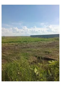 Участок в Челябинская область, Красноармейский муниципальный округ, ...