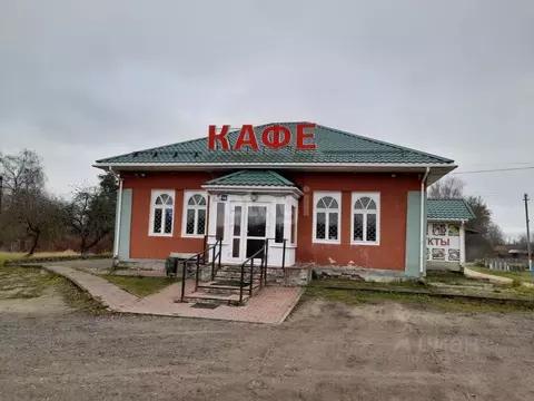 Помещение свободного назначения в Псковская область, Палкинский район, ...