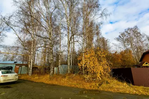 Участок в Новосибирская область, Новосибирский район, Мичуринский ...