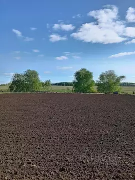 Участок в Красноярский край, Большемуртинско-Сухобузимский ...