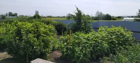 Дом в Свердловская область, Каменский муниципальный округ, с. ...