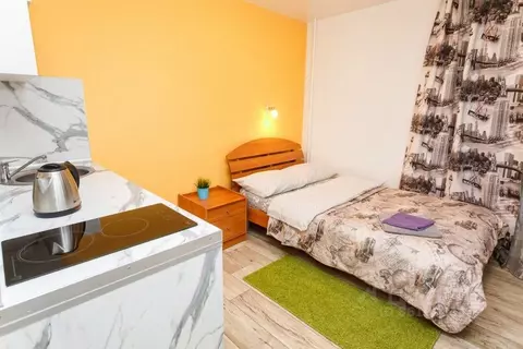 1-к кв. Свердловская область, Екатеринбург пер. Красный, 4А (25.0 м)