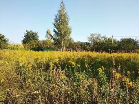 Участок в Брянская область, Брянский район, Снежское с/пос, с. ...