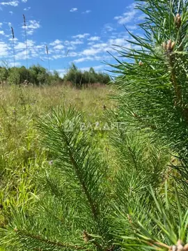 Участок в Калужская область, Дзержинский район, д. Карцово ул. ...