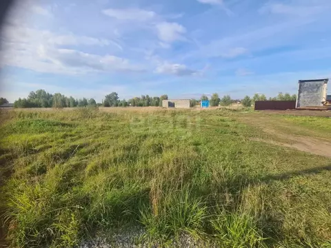 Участок в Новосибирская область, Новосибирский район, Станционный ...