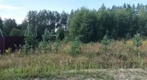 Участок в Московская область, Лосино-Петровский городской округ, д. ...