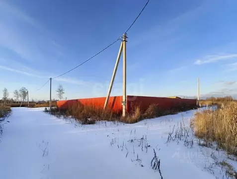 Участок в Тюменская область, Тюмень Садовое товарищество Липовый ...