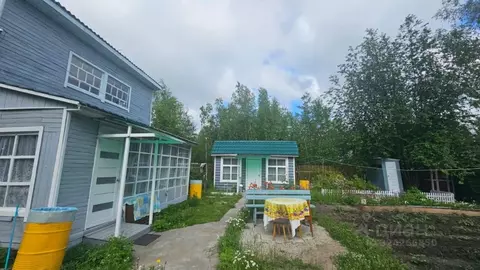 Участок в Саха (Якутия), Якутск городской округ, с. Маган  (5.5 сот.)